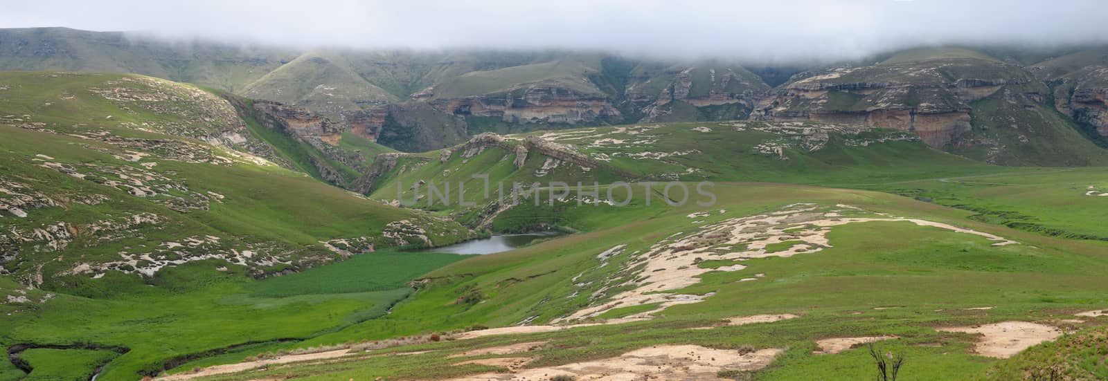 Panorama showing the Sentinel and Langtoon Dam in the Golden Gat by dpreezg