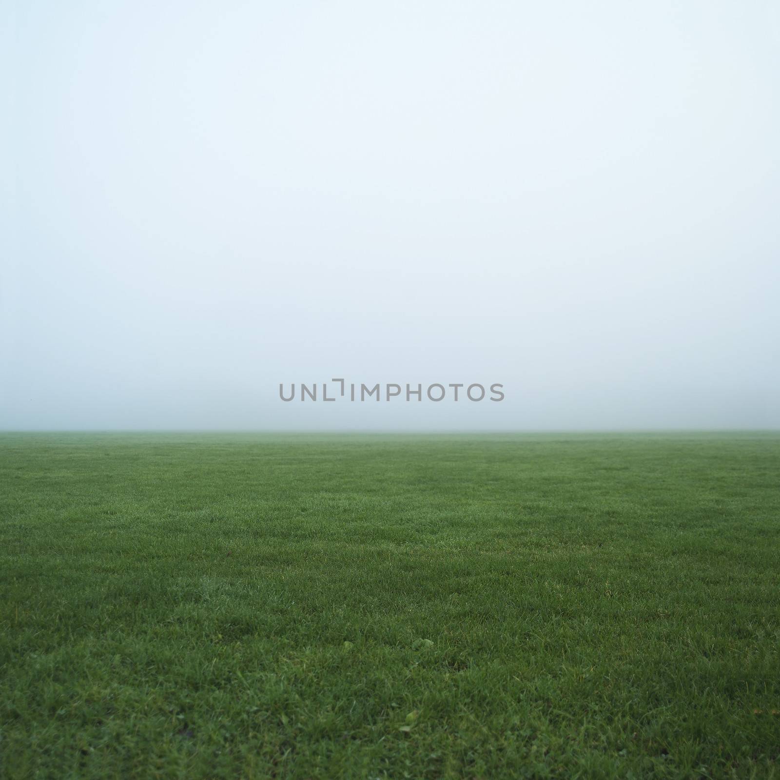 Fog Landscape by gemenacom