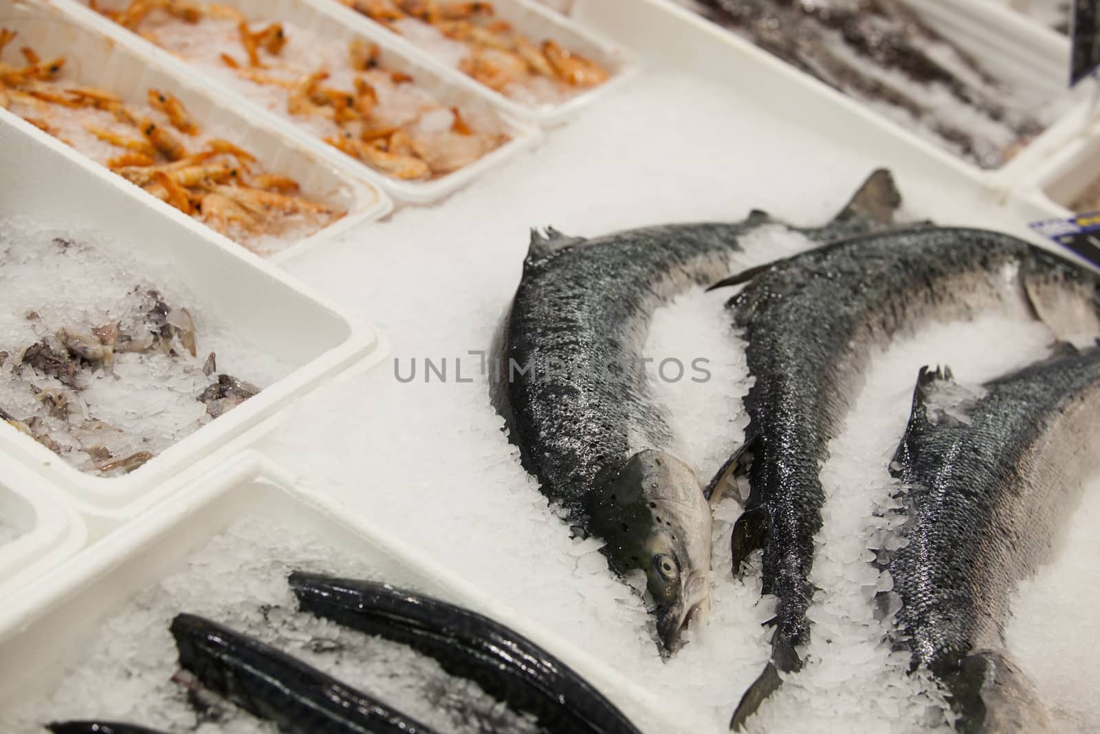 Fresh seafood by wellphoto