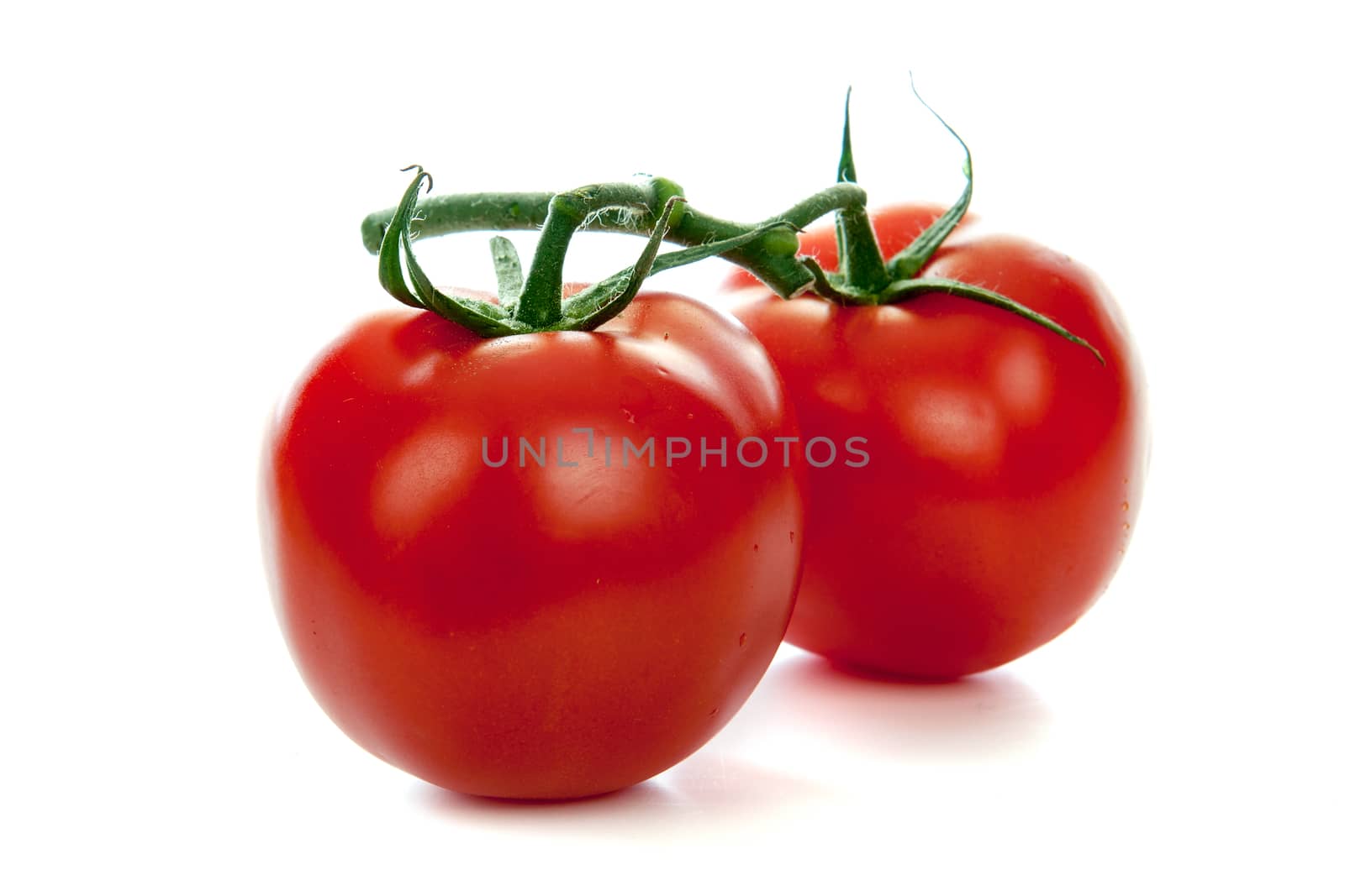 Two tomatoes on a white background