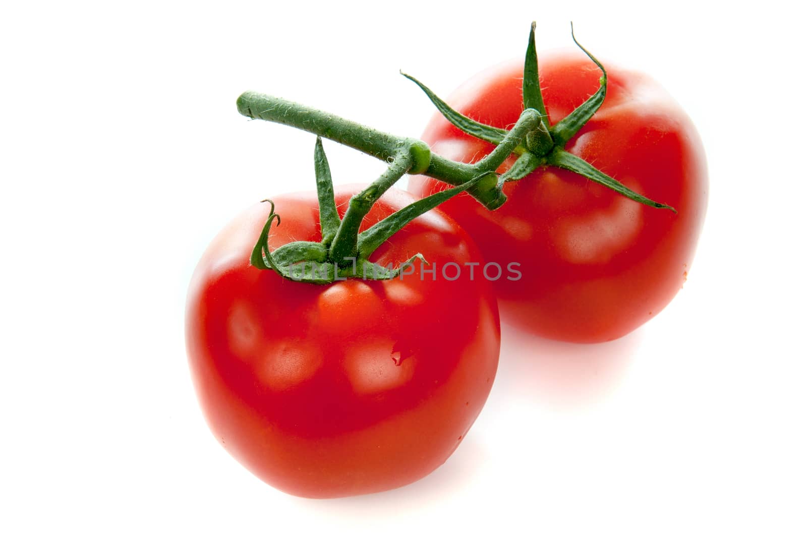 Two tomatoes on a white background