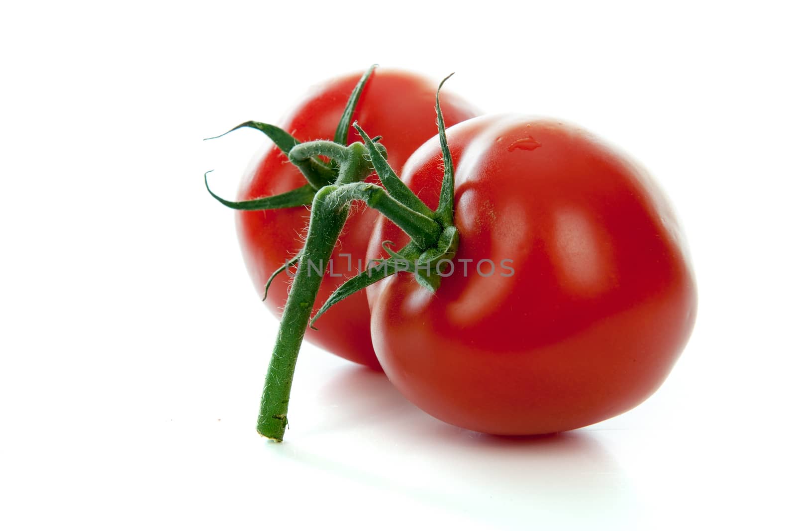 Two tomatoes on a white background