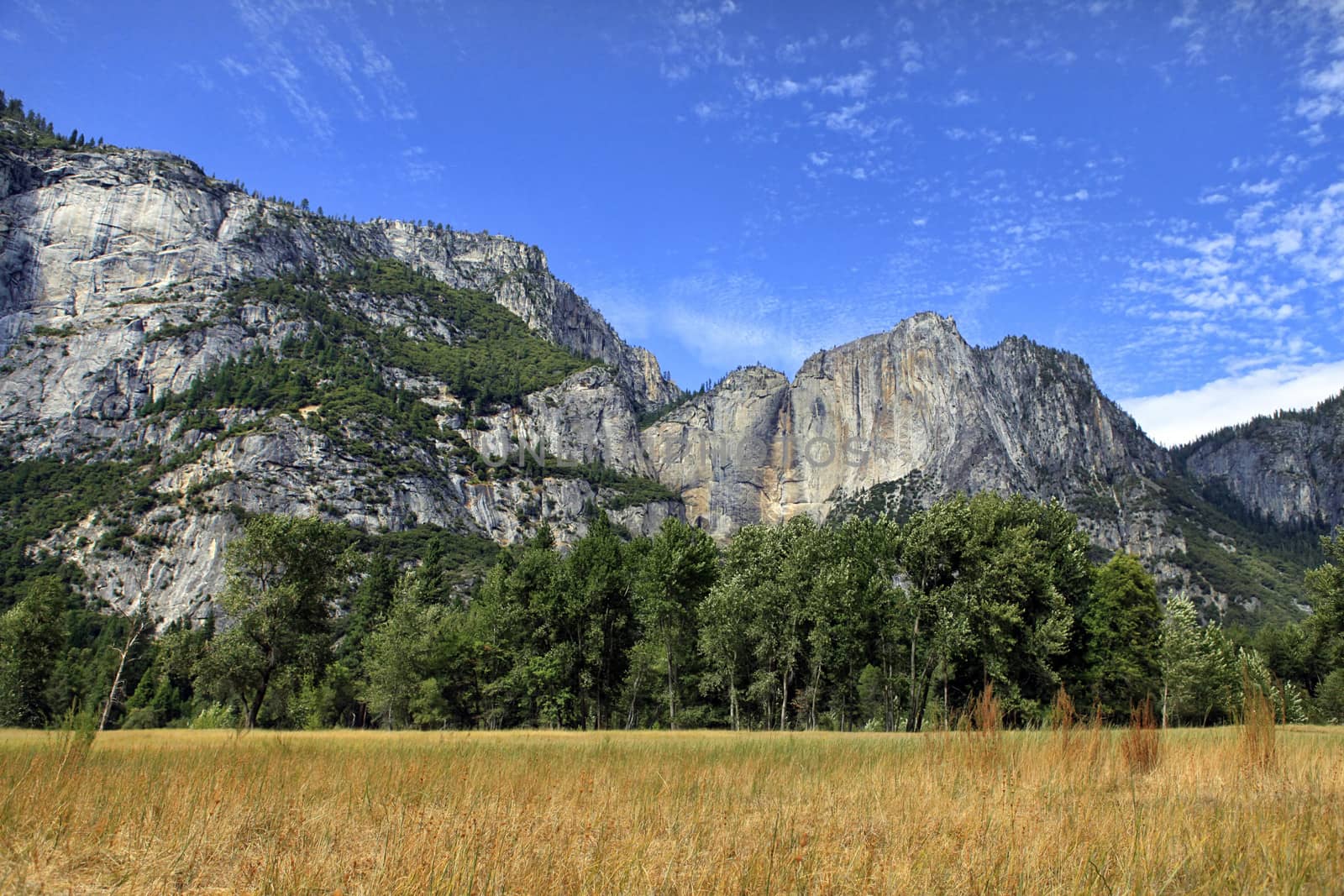 Yosemite National Park in California. United States of America