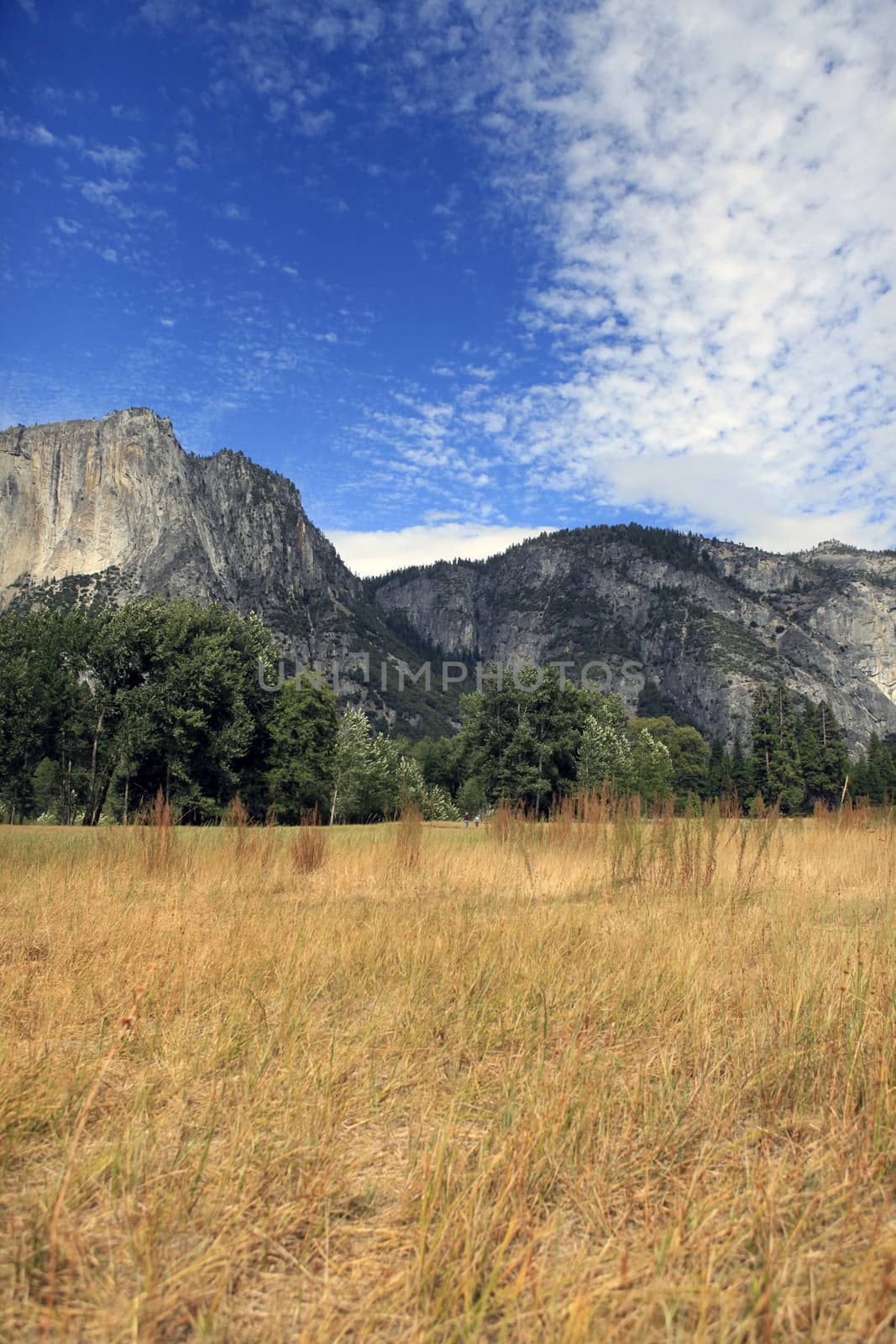 Yosemite National Park in California. United States of America