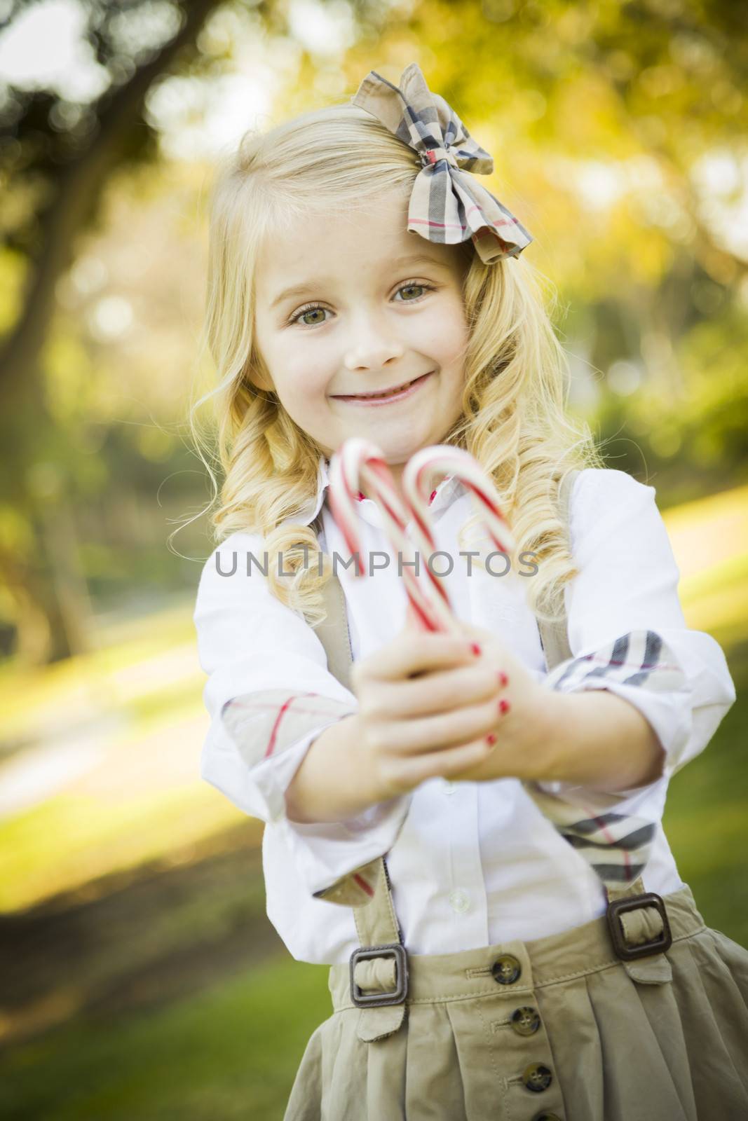 Cute Little Girl Holding Christmas Candy Canes Outdoors
 by Feverpitched