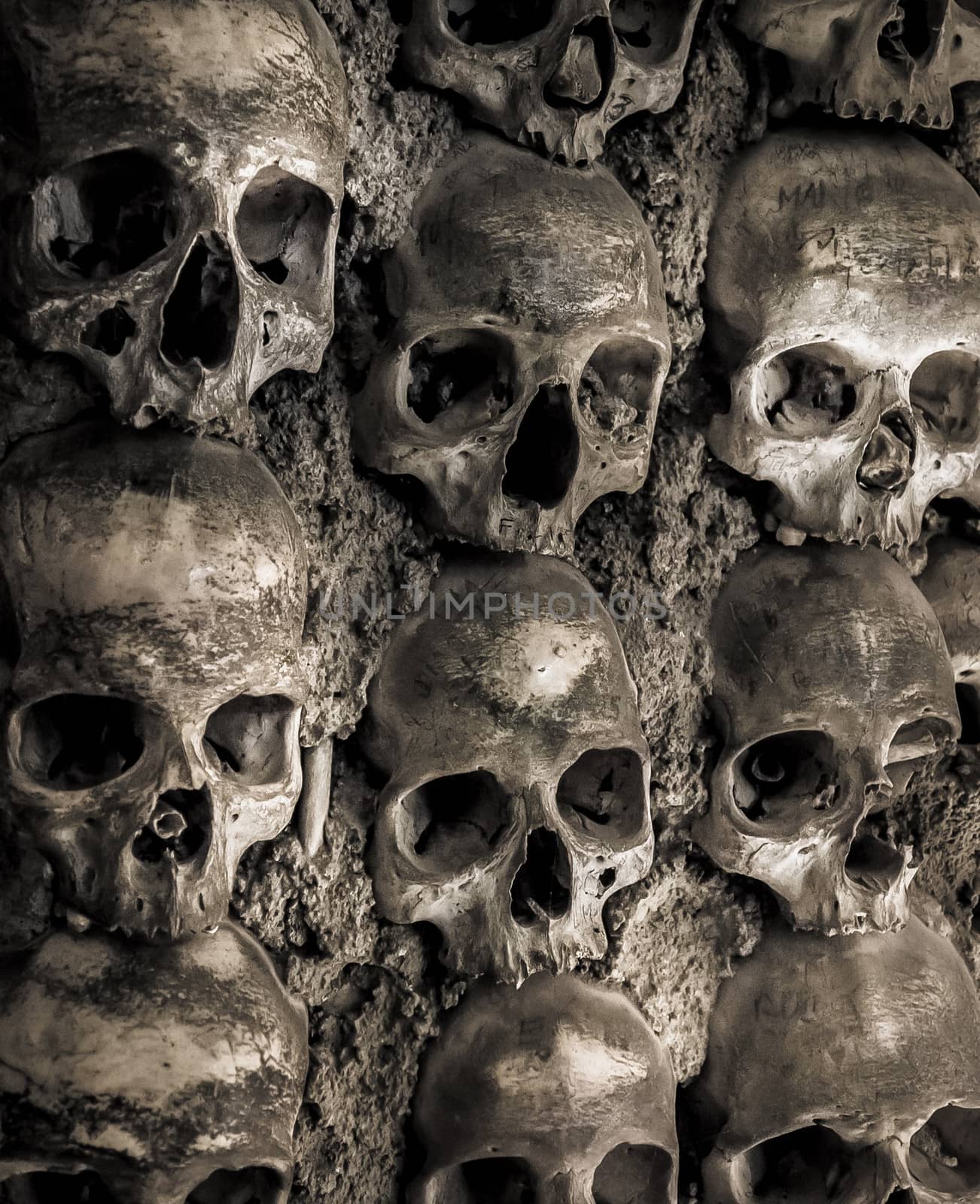 Wall full of skulls and bones by gilmanshin