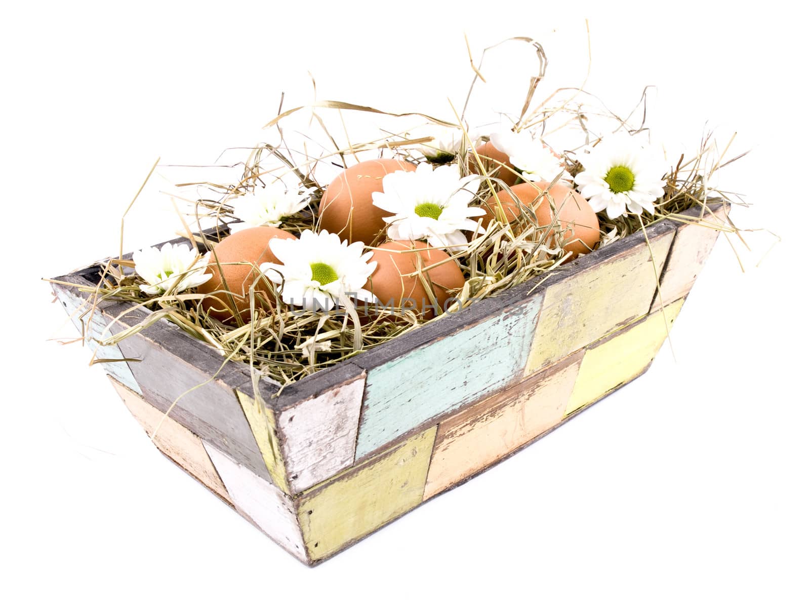 Fresh eggs and oxeye daisy flowers in old-fashioned flowerpot filled with hay on white background