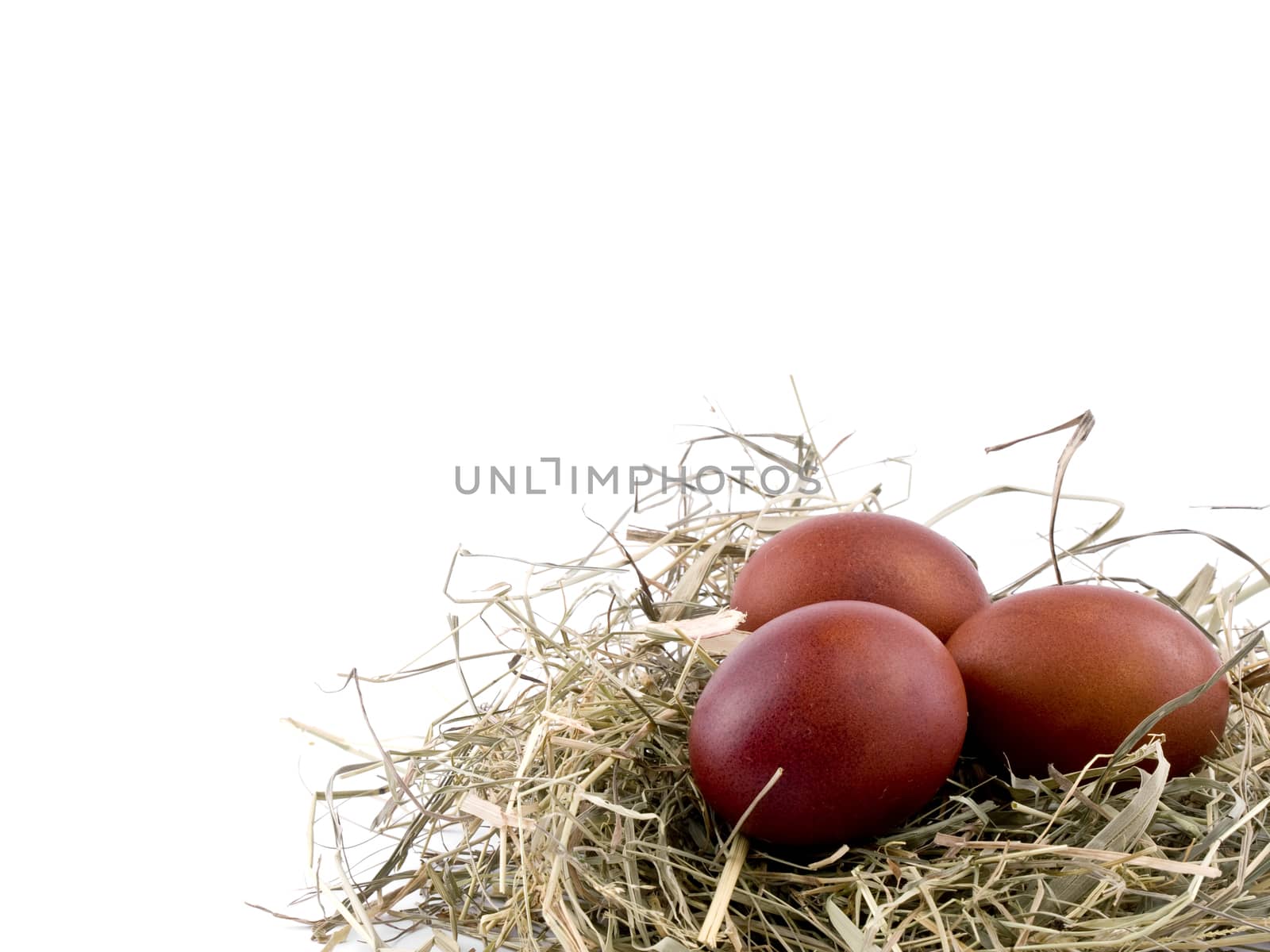 Picture of brown easter eggs in nest on white background with place for your text
