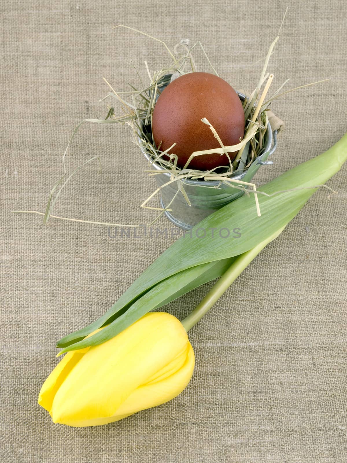 Brown Easter egg in small bucket and yellow tulip on linen background