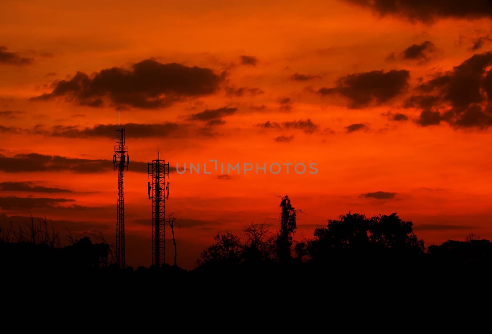 telephone poles on sunset with orange sky