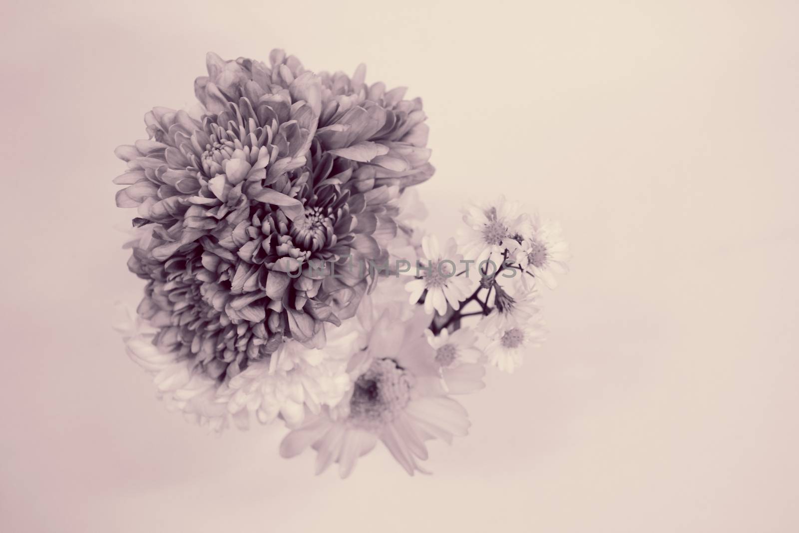 Bouquet of Flowers in a Glass on monotone color