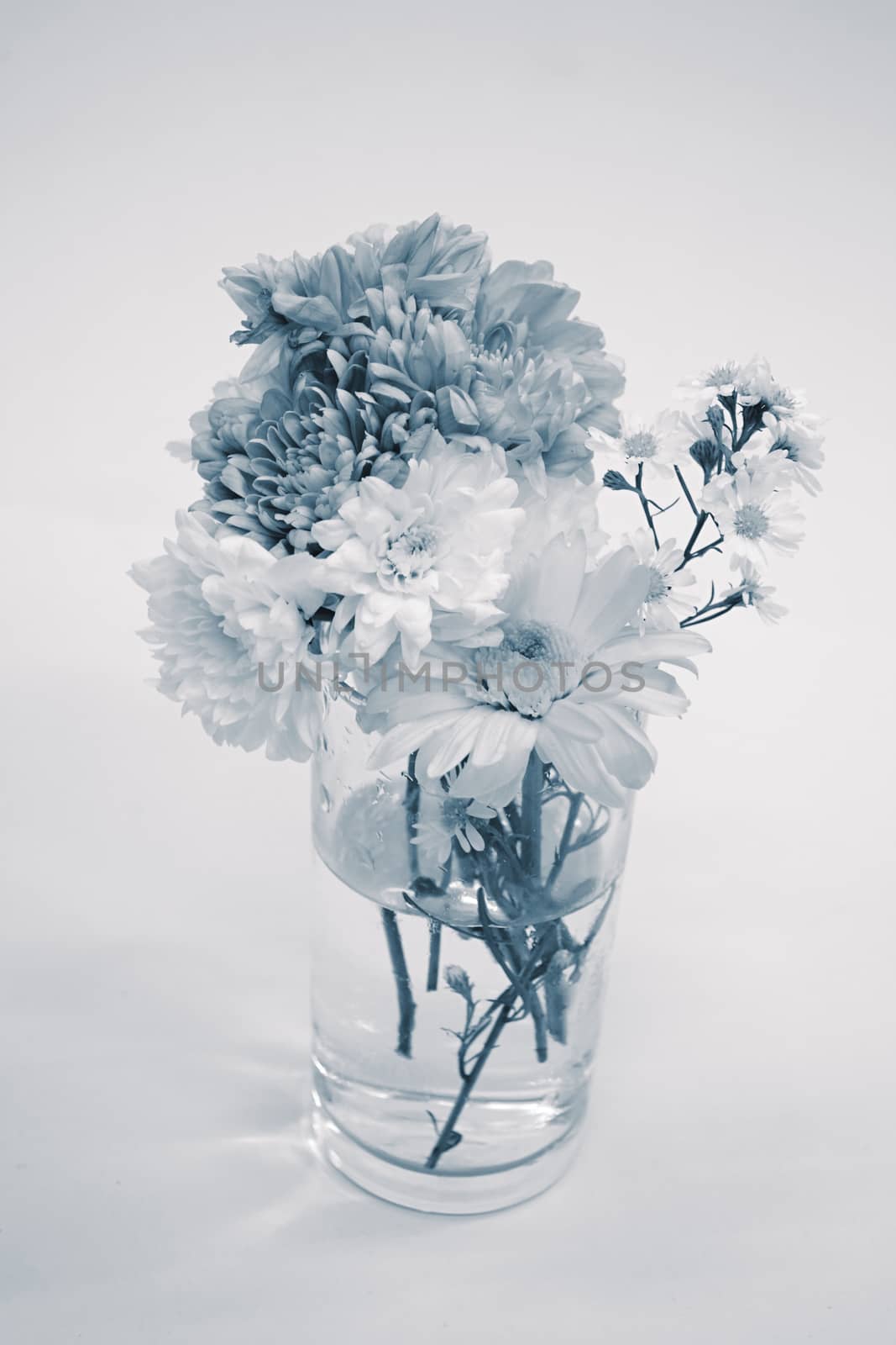 Bouquet of Flowers in a Glass on monotone color