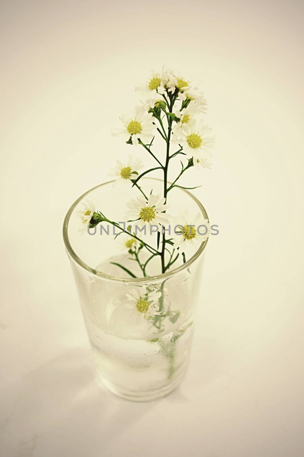 Bouquet of Flowers in a Glass on Vintage background