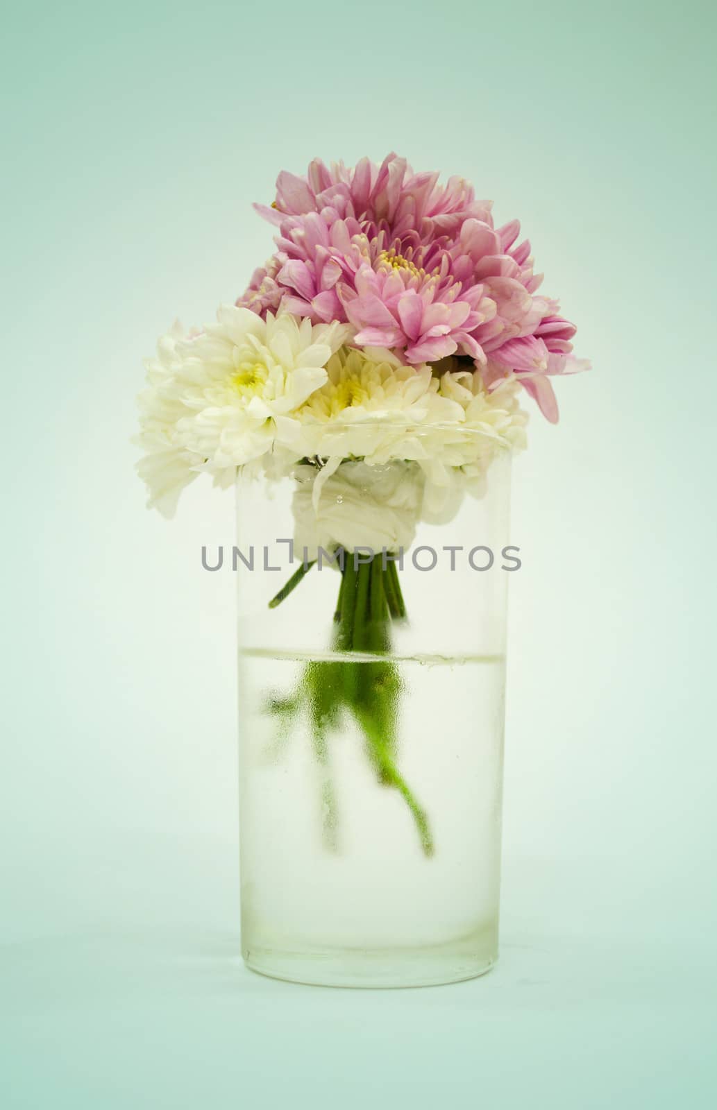 Flowers in a Vase by apichart
