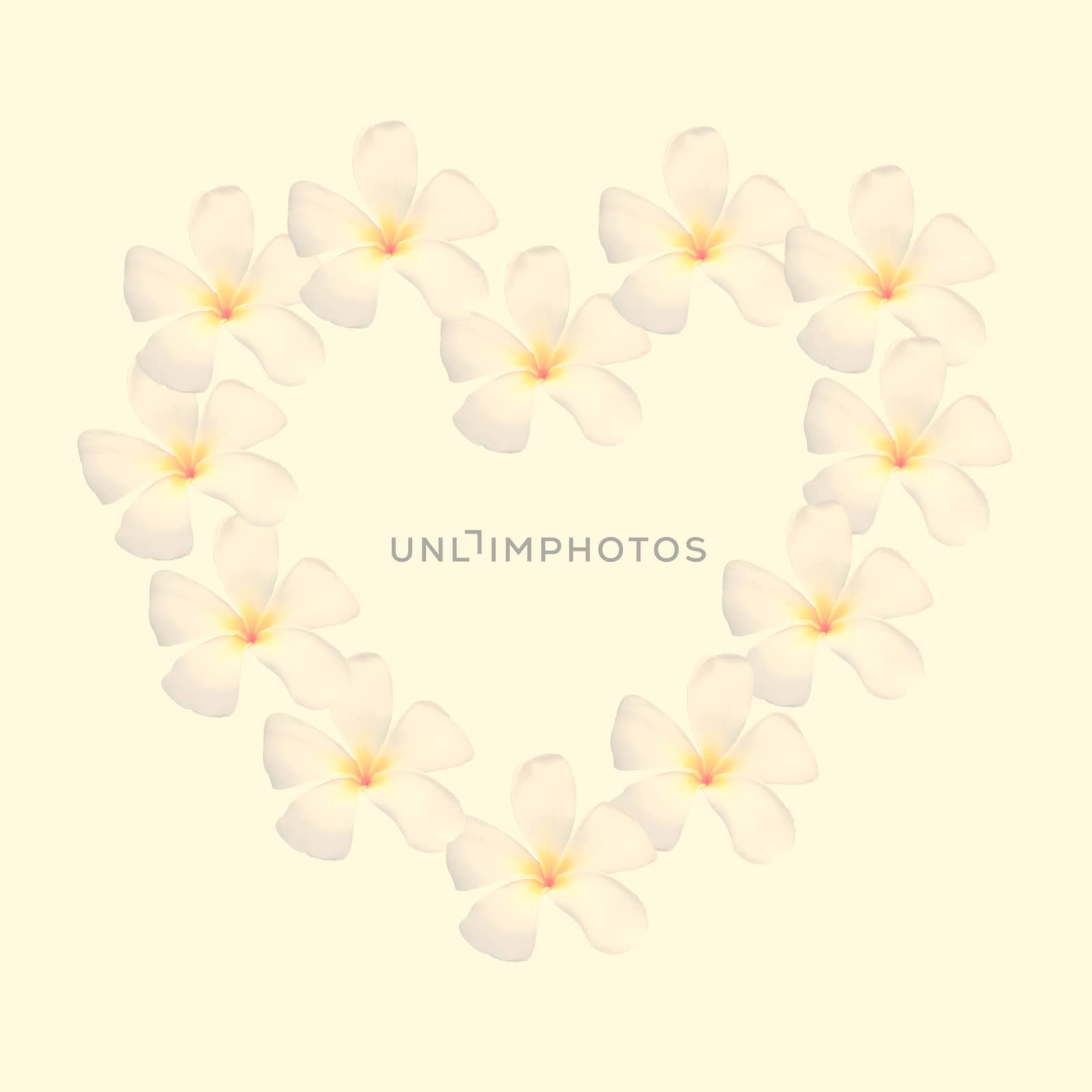 frangipani shape as heart isolated with retro filter effect by nuchylee