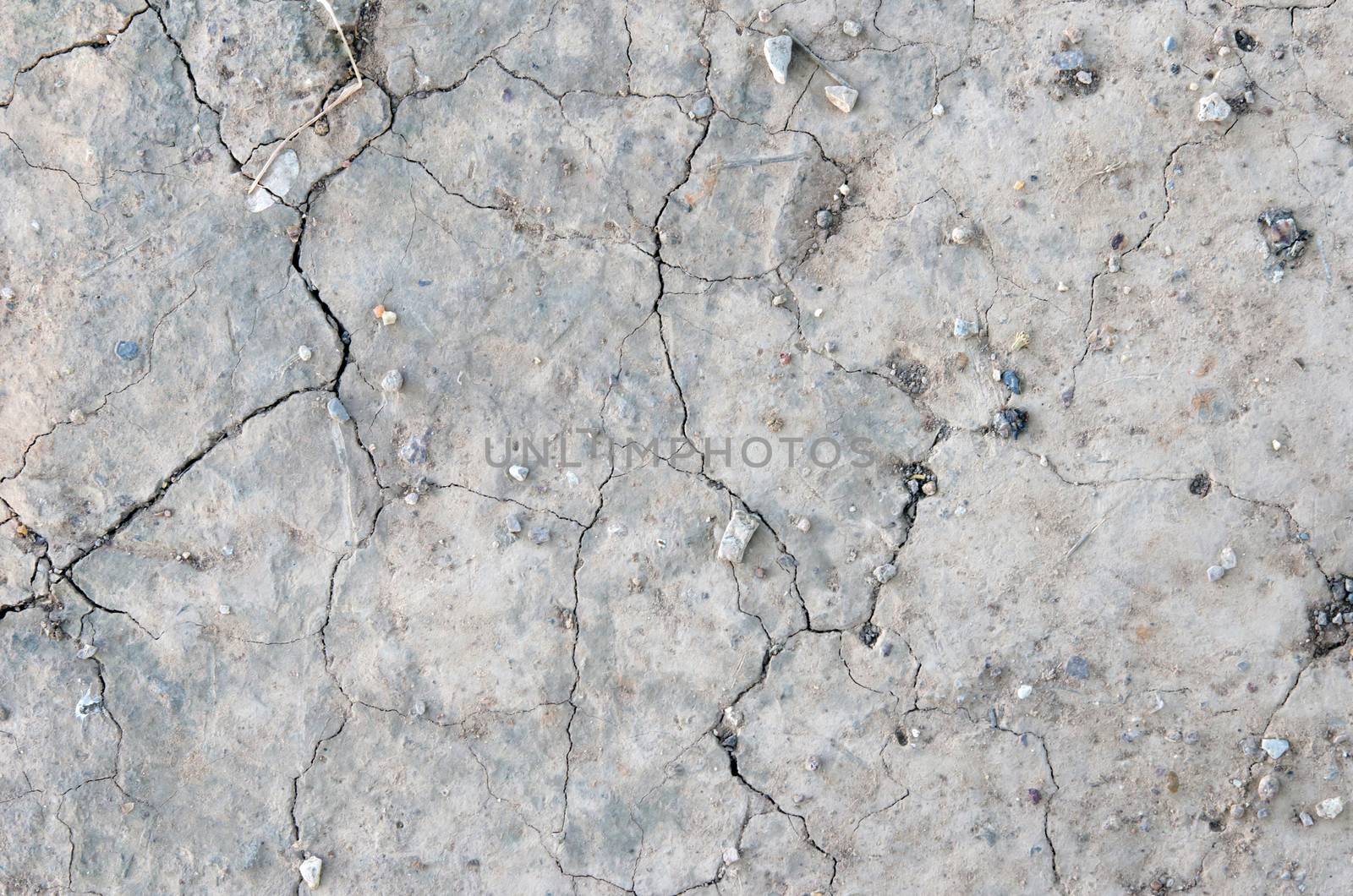 Close up dry land. Cracked ground background.