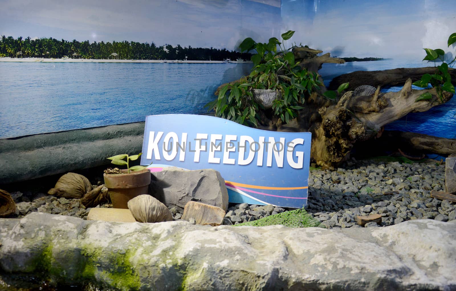 Koi feeding sign in a public water park