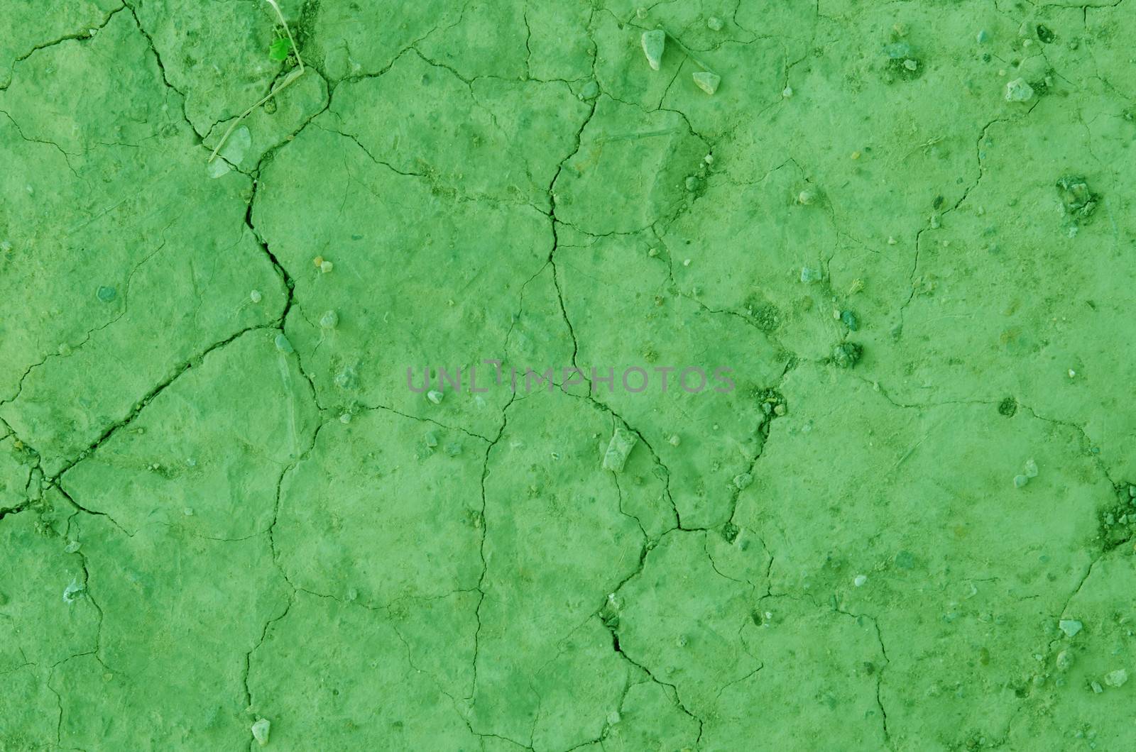 Close up dry land. Cracked ground , green color background.