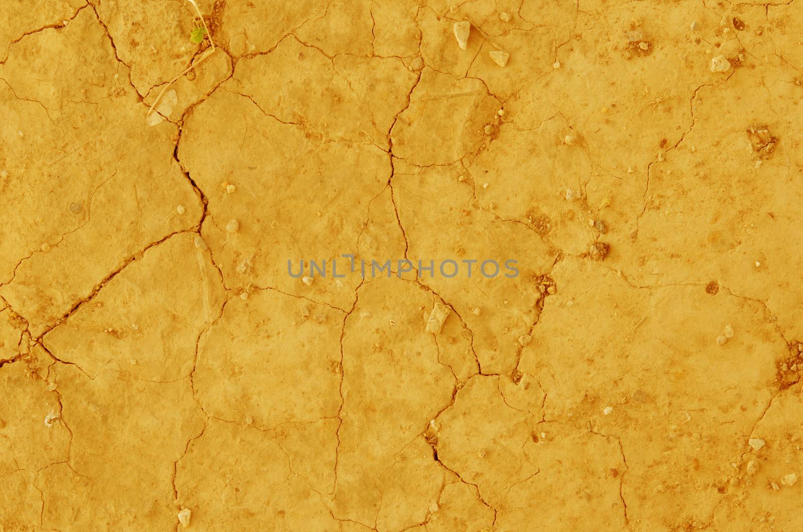 Close up dry land. Cracked ground yellow color background.