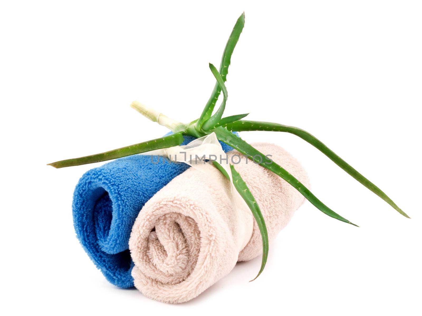 Two soft towels and fresh aloe on white background