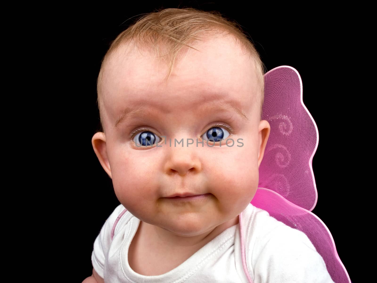 Cute little girl with big blue eyes and pink fairy wings on black background