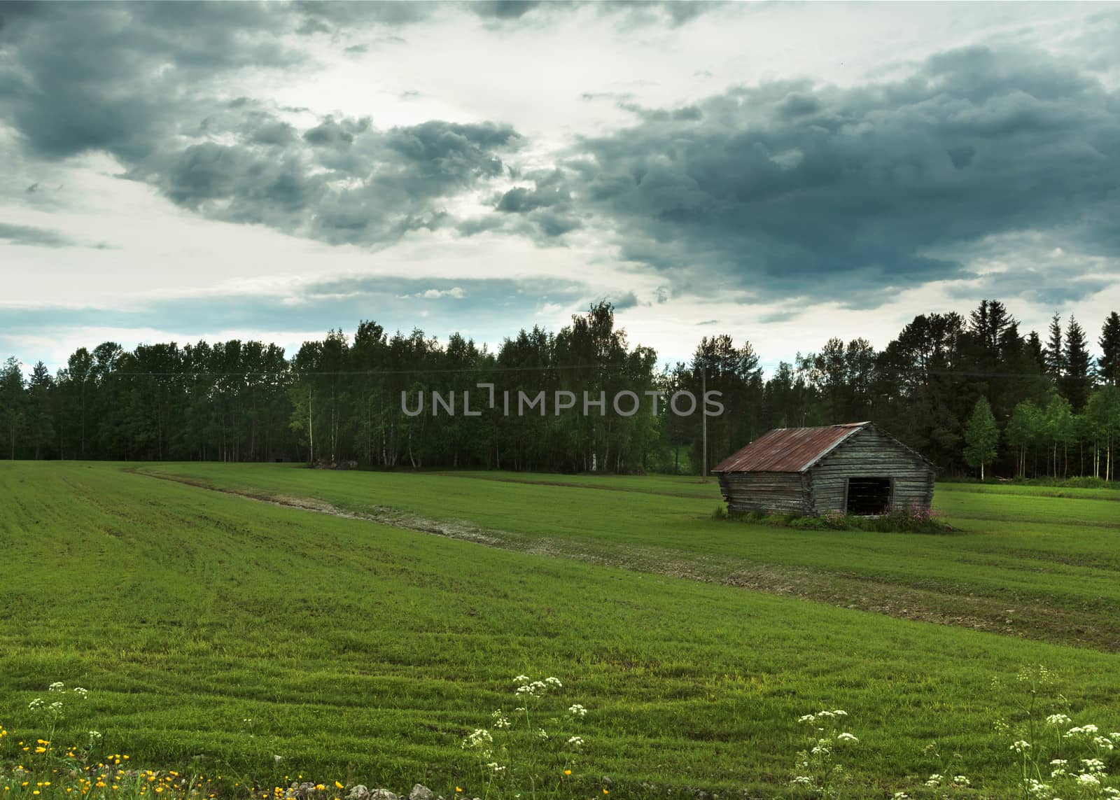 Angry sky rolls in over green field with wooden barn and forest as background.