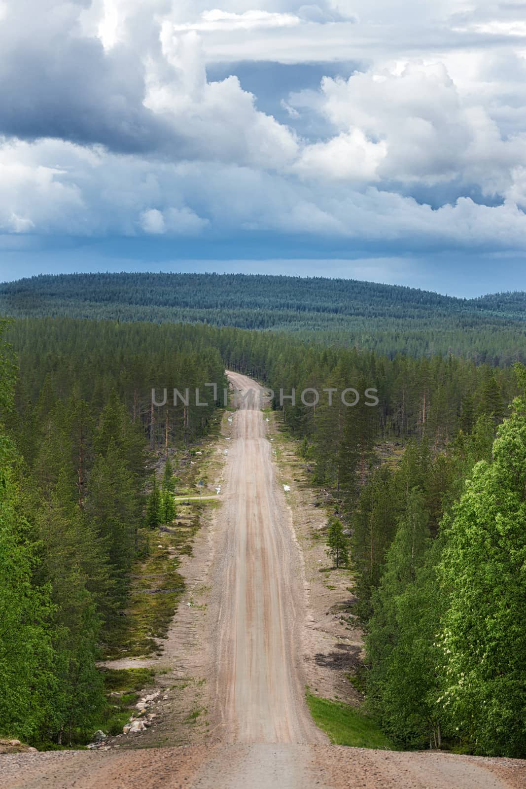 Road cuts through the forest in eastern Lapland. by Claudine