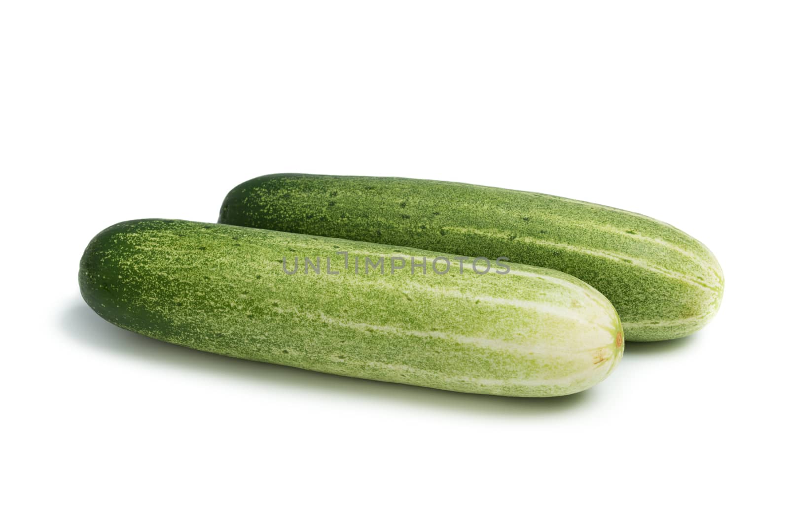 Two green cucumber isolated on white background with clipping path