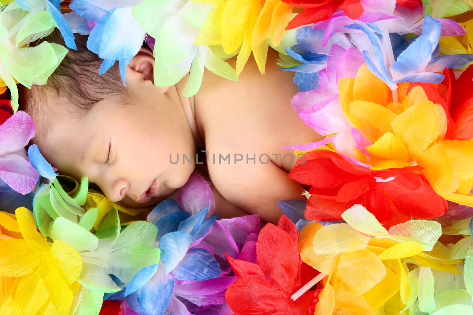 Sleeping baby girl surrounded by spring flowers