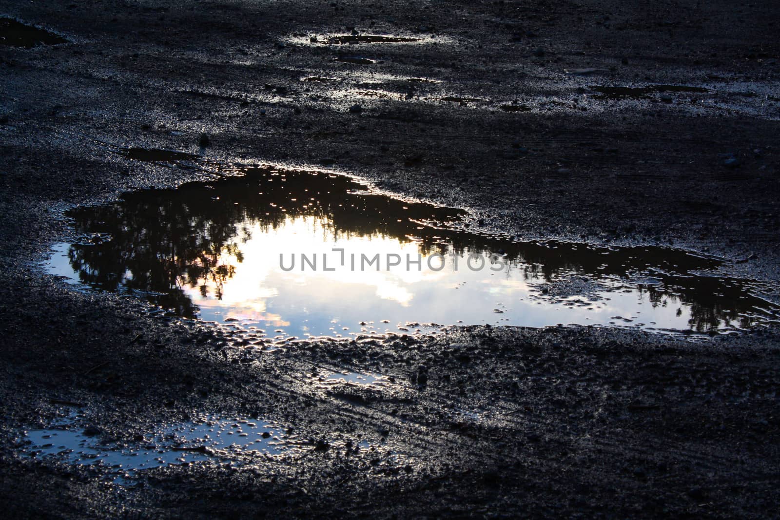 Sunset puddle by liznel