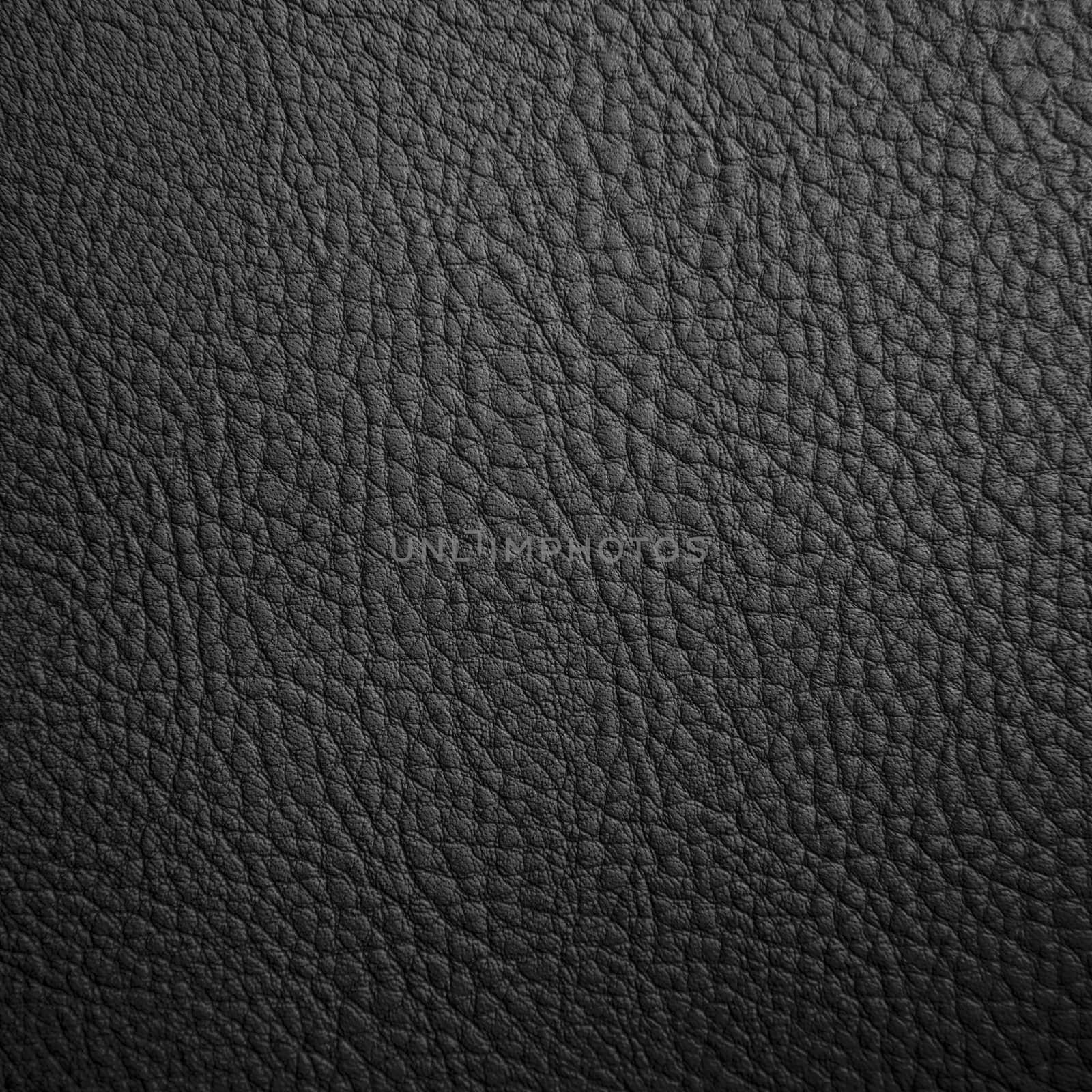 Black leather by gilmanshin