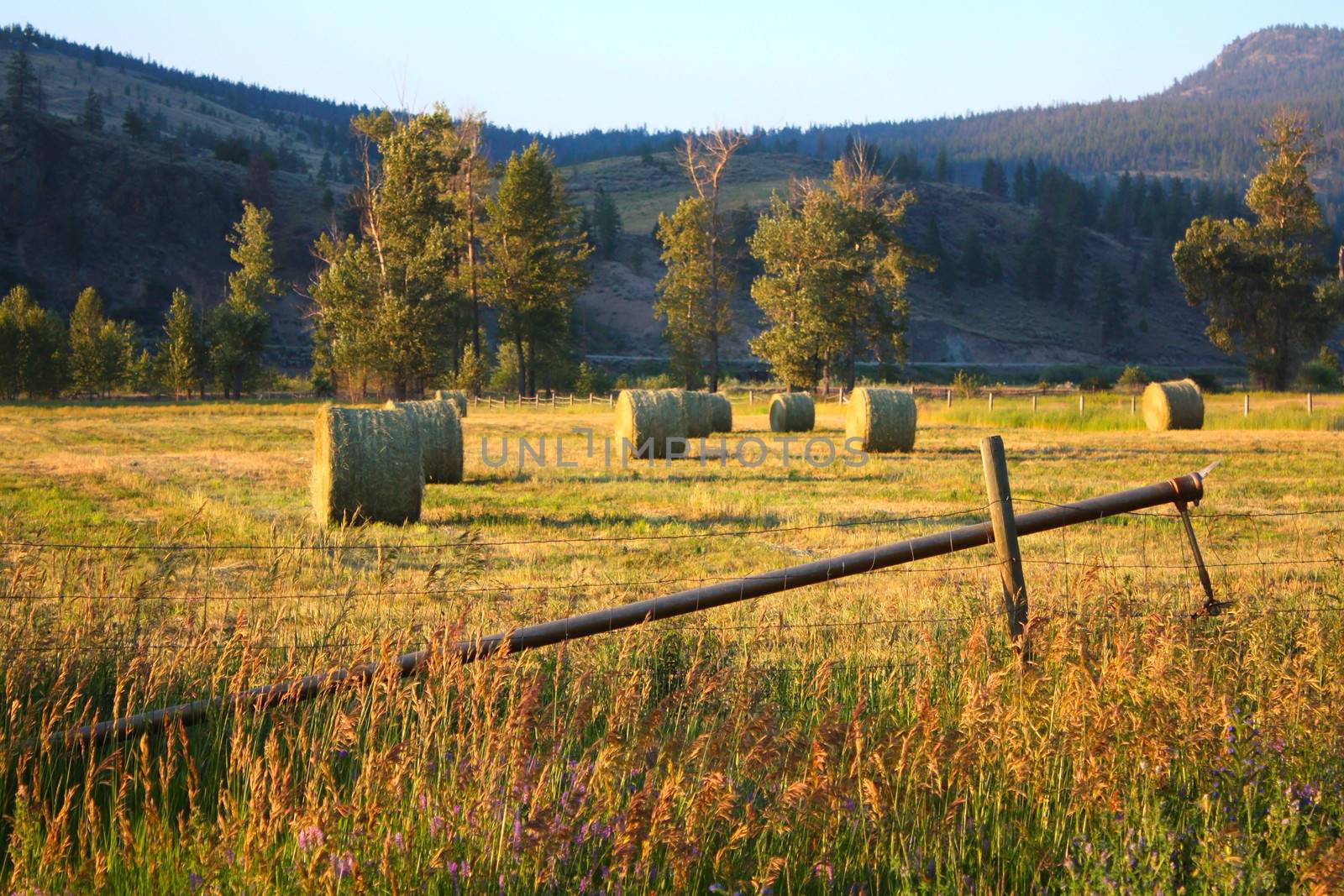 Hay bales by liznel