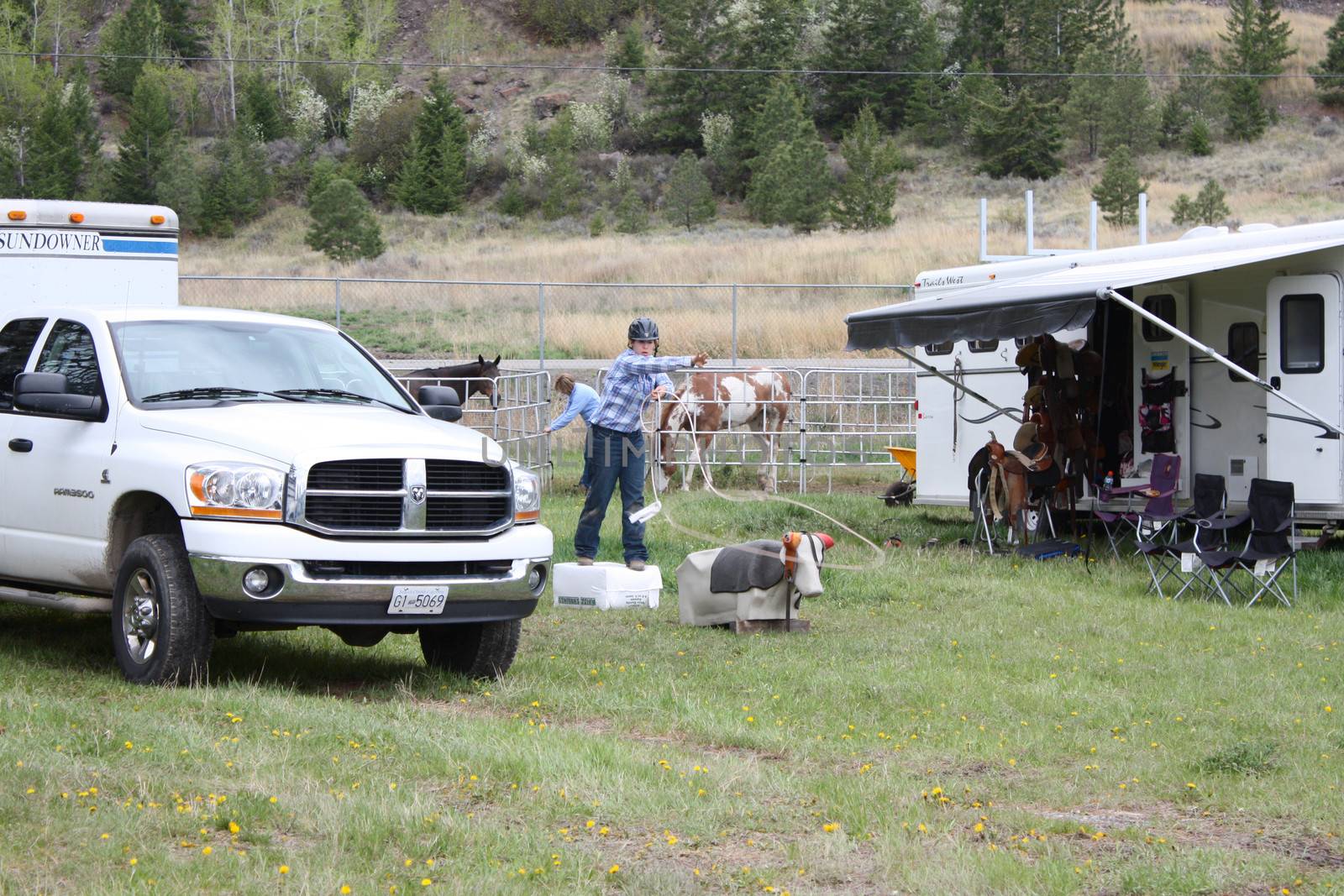 MERRITT, B.C. CANADA - MAY 15: Unidentified cowgirl roping a practise calf inbetween Cowgirl Roping event rounds at Nicola Valley Rodeo on May 15, 2011 in Merritt, British Columbia, Canada 