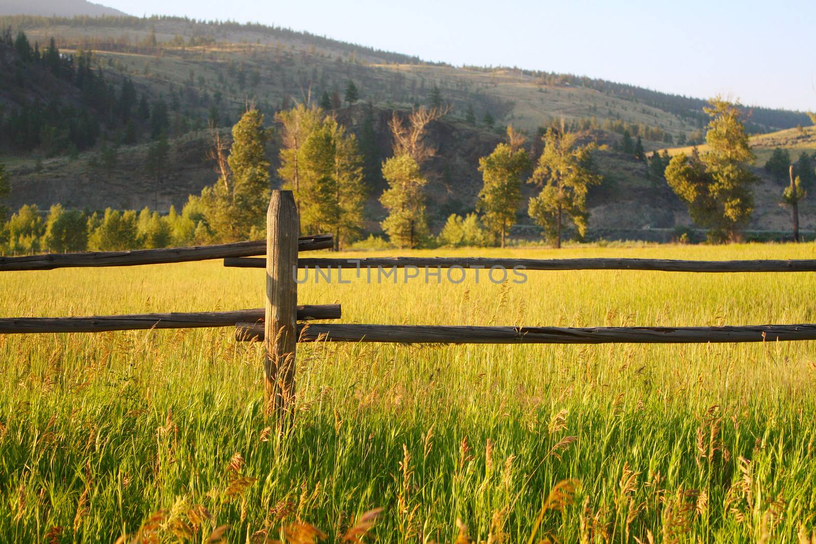 Farm Fence by liznel