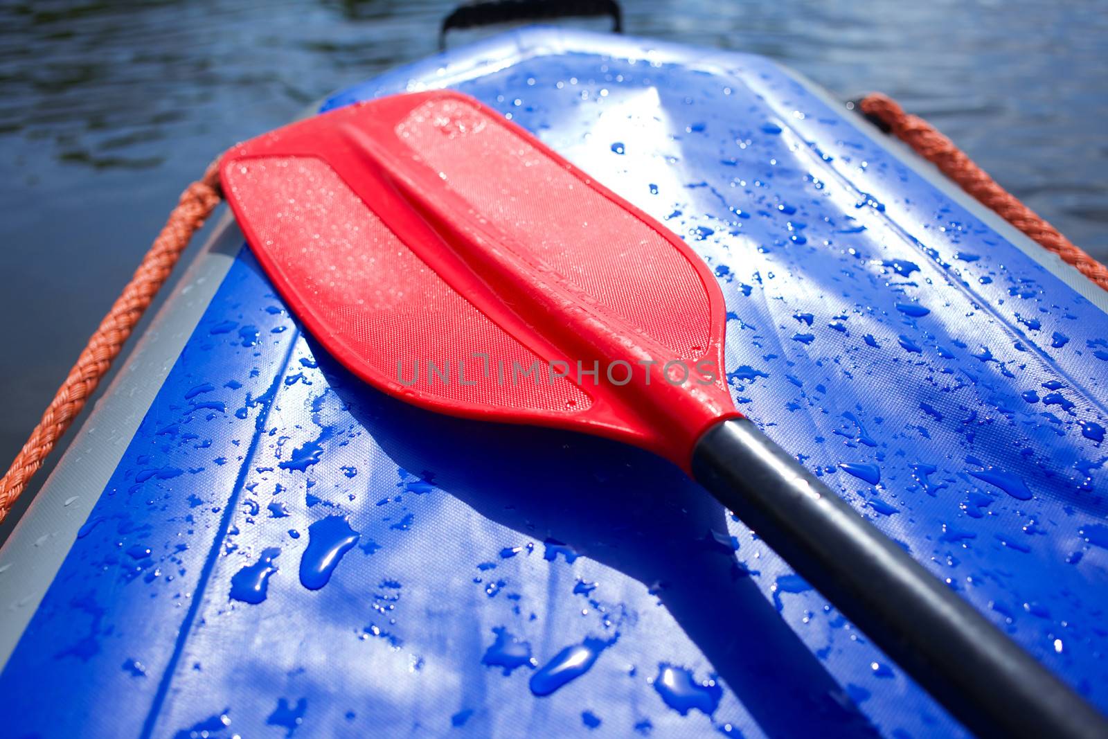 Red paddles for white water rafting and kayaking
