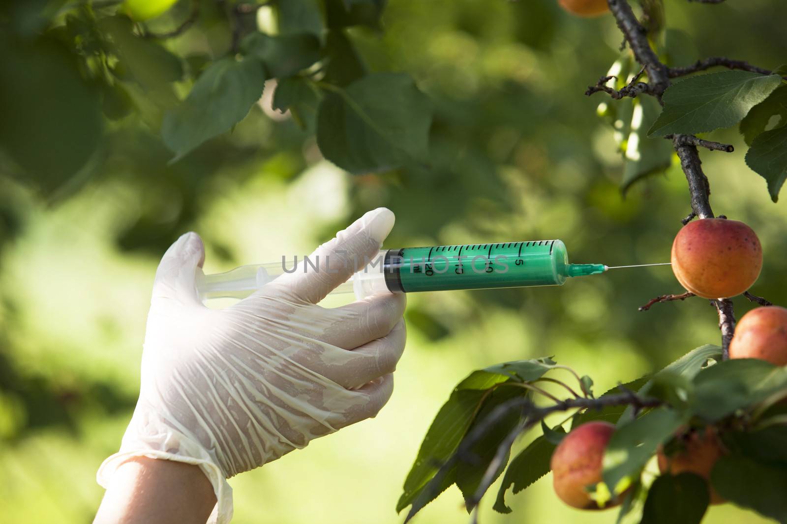 Pesticide injected in a fruit