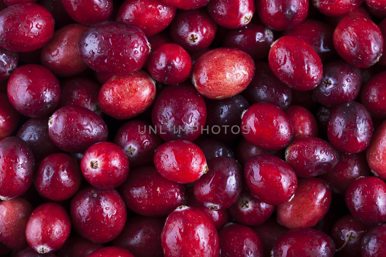Fresh cranberries food background.