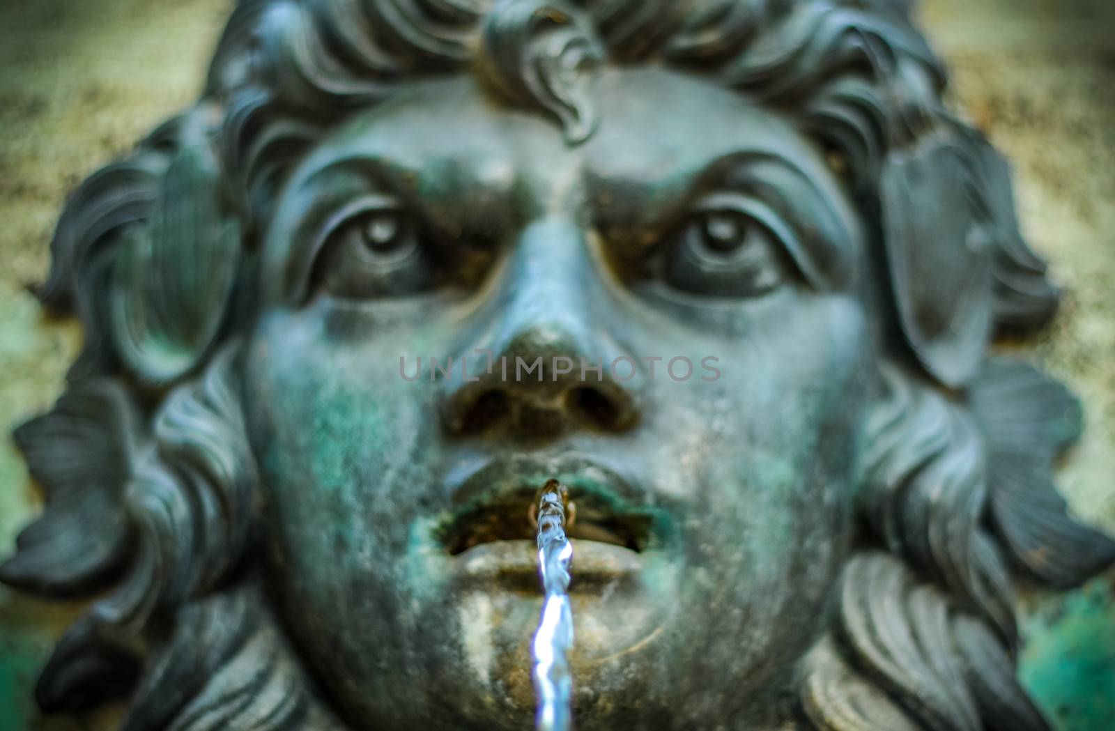 Ornamental Water Fountain With Face And Water In Focus