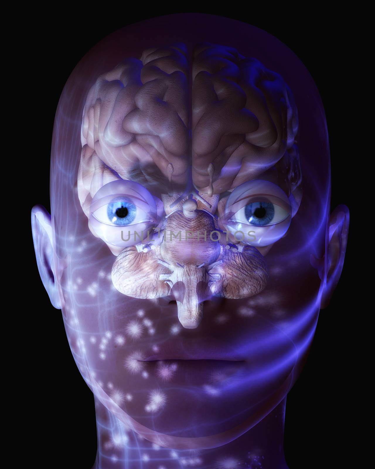 Digital Illustration of a human Brain