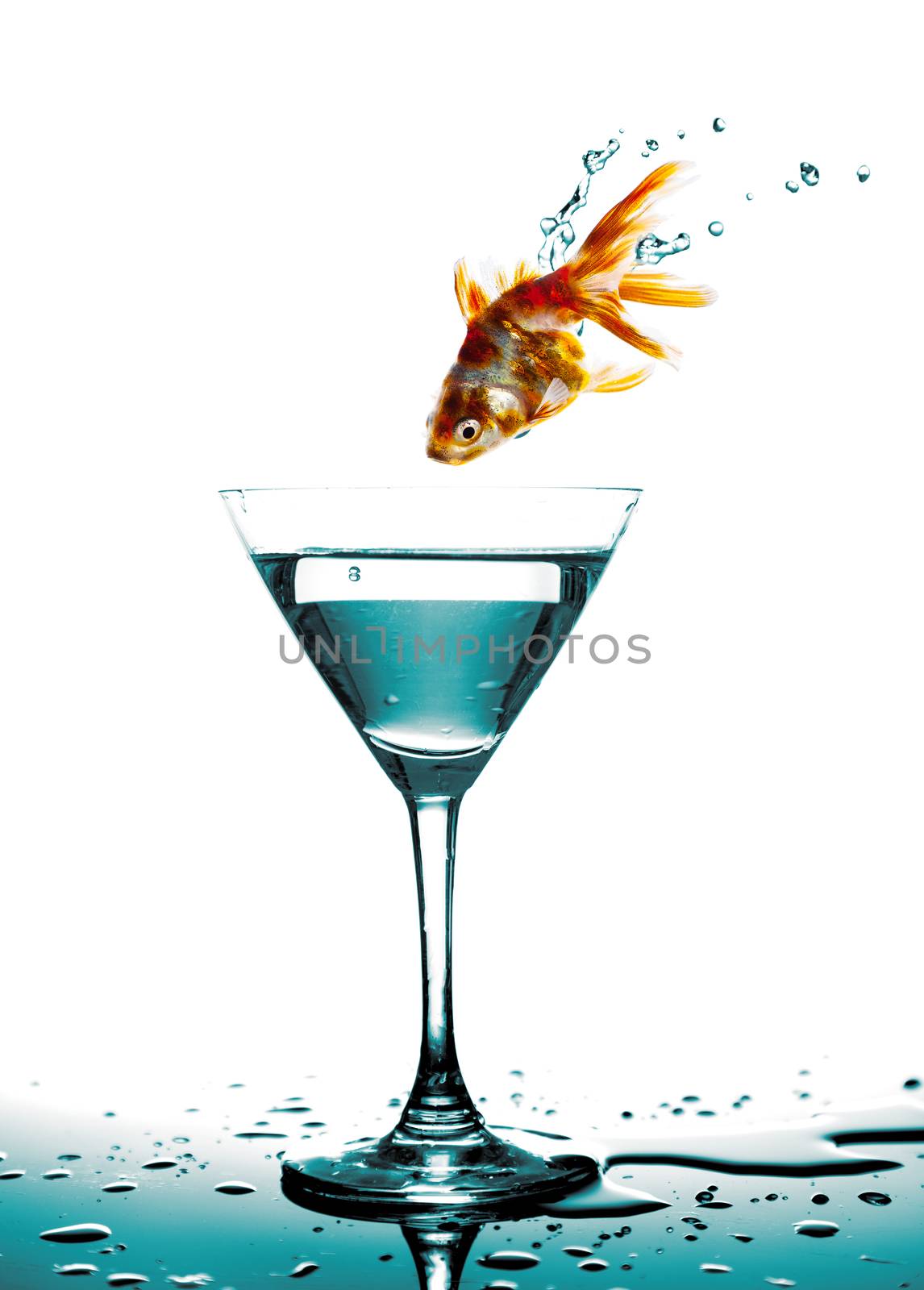jump of Golden fish to martini glass, white background by motorolka