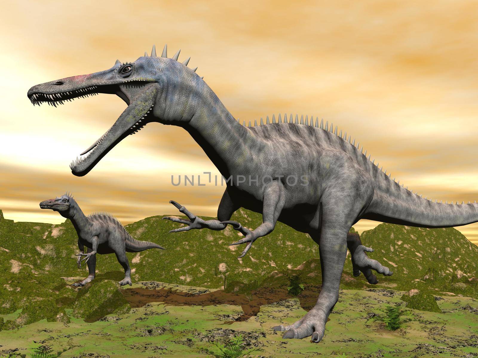 Two suchomimus dinosaurs in nature with green grass by colorful sunset