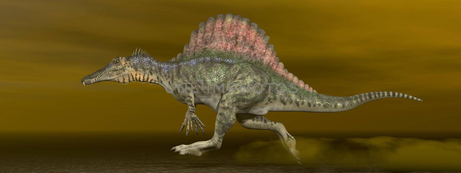 Spinosaurus dinosaur walking on the ground in brown background