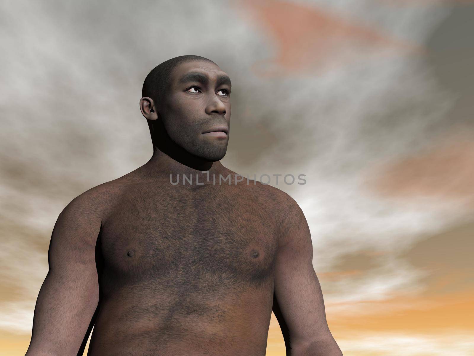 One male homo erectus bust in grey and brown cloudy day