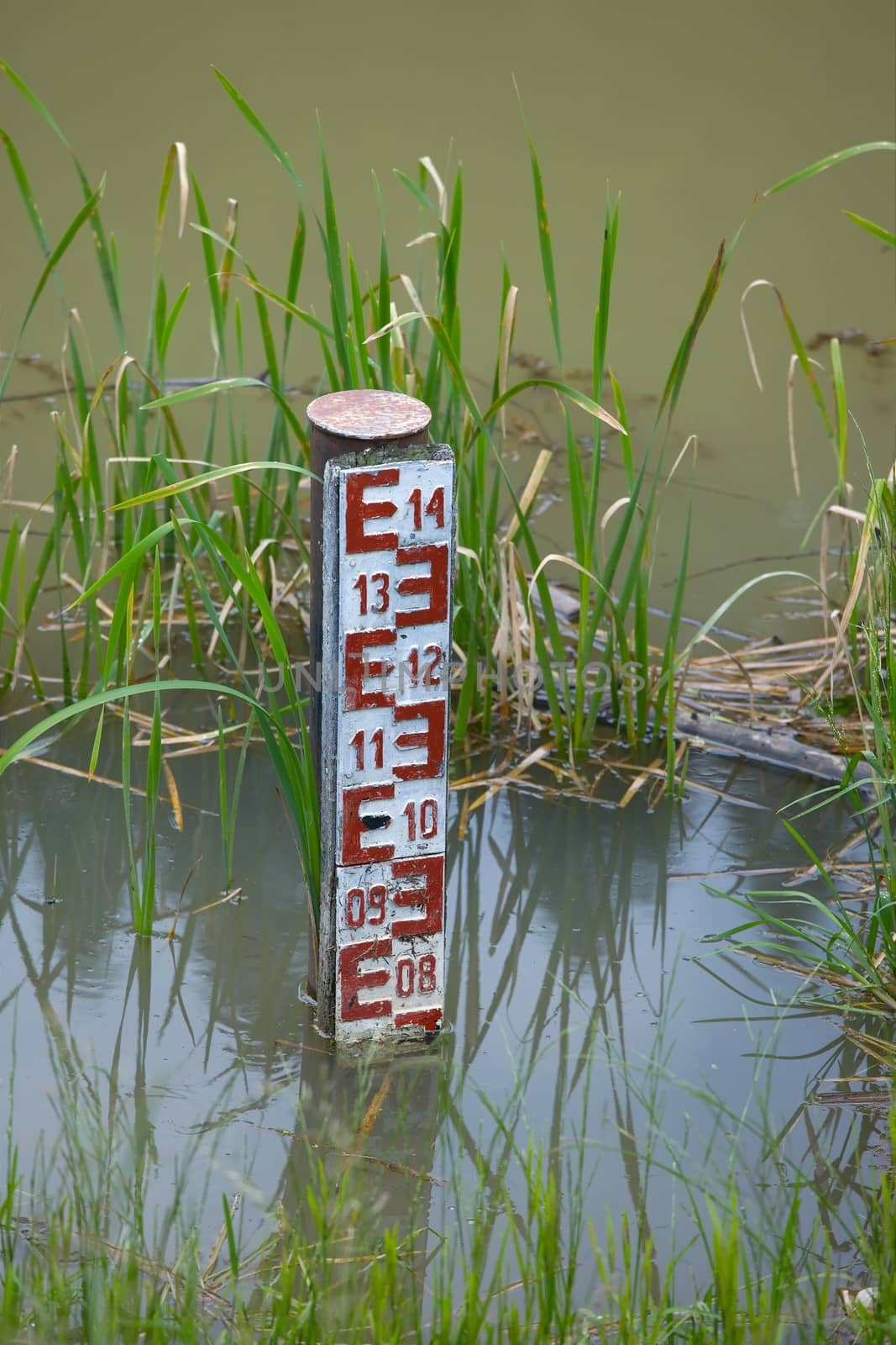 Stream gauge in river