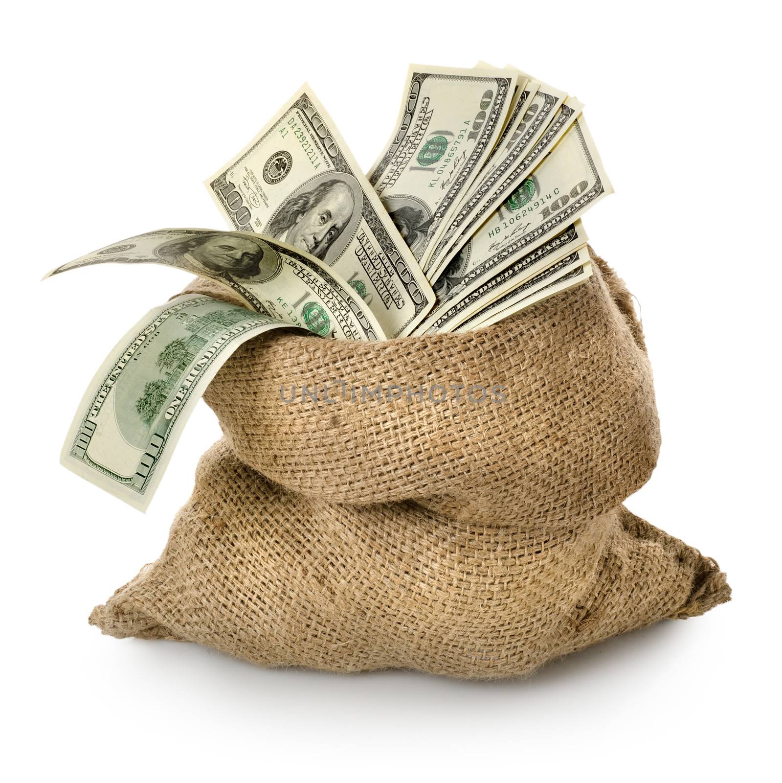 Money in the bag isolated on a white background