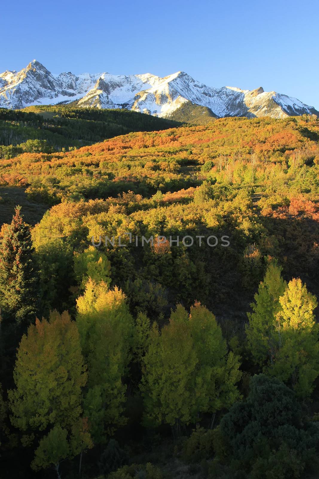 Dallas Divide, Uncompahgre National Forest, Colorado by donya_nedomam