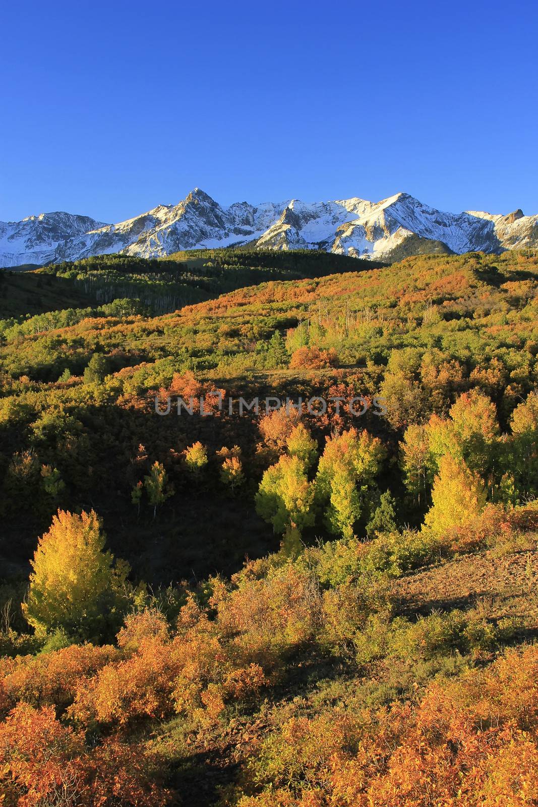 Dallas Divide, Uncompahgre National Forest, Colorado, USA