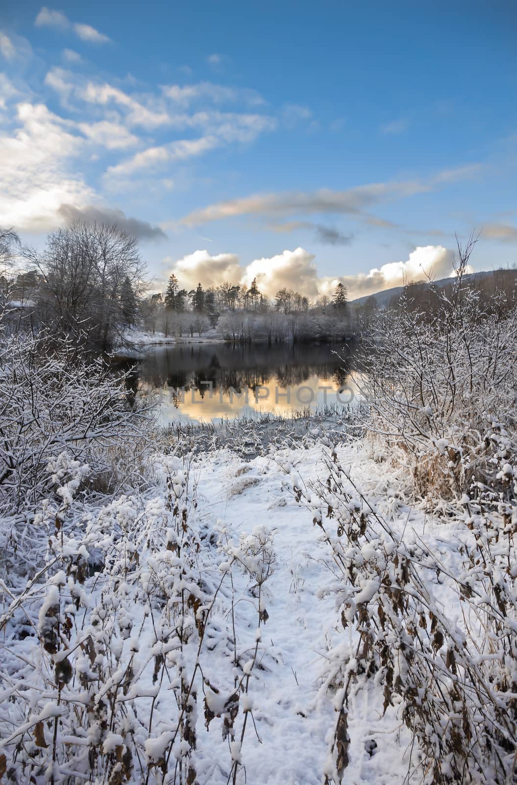 Picture of a lake with a snowy ground in front