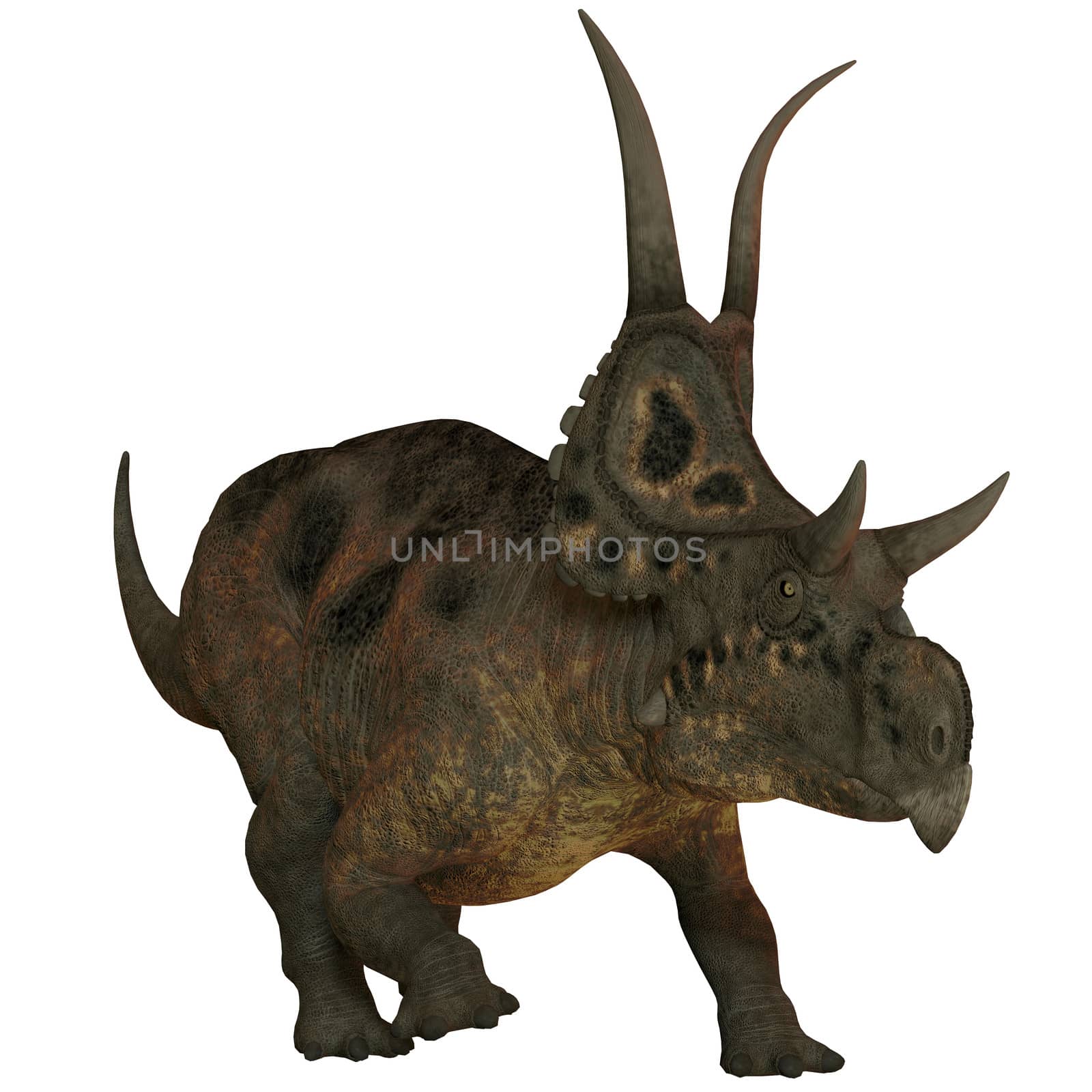 Diabloceratops on White by Catmando