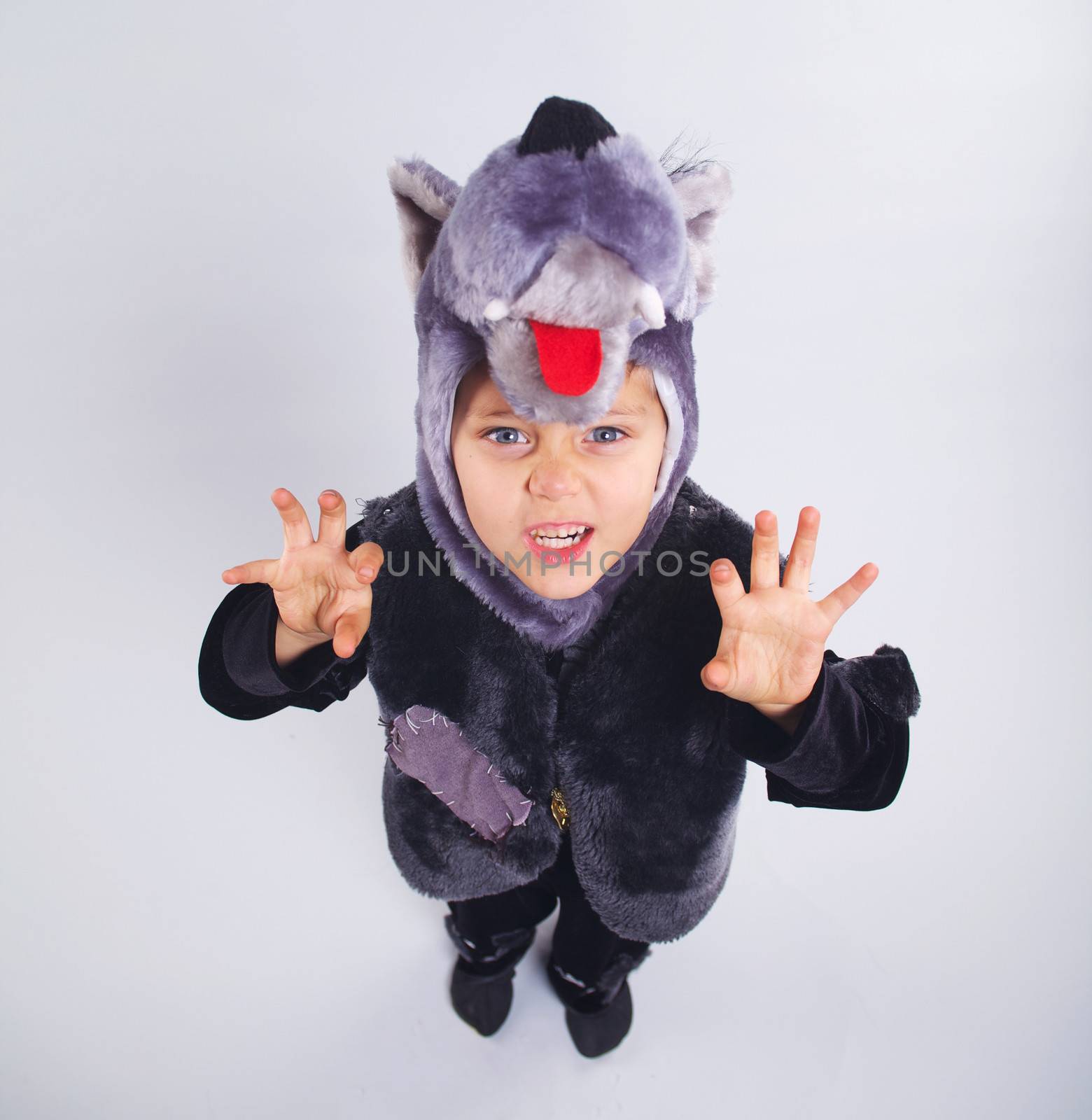 A portrait of a little boy trying a carnival suit of wolf on the grey background